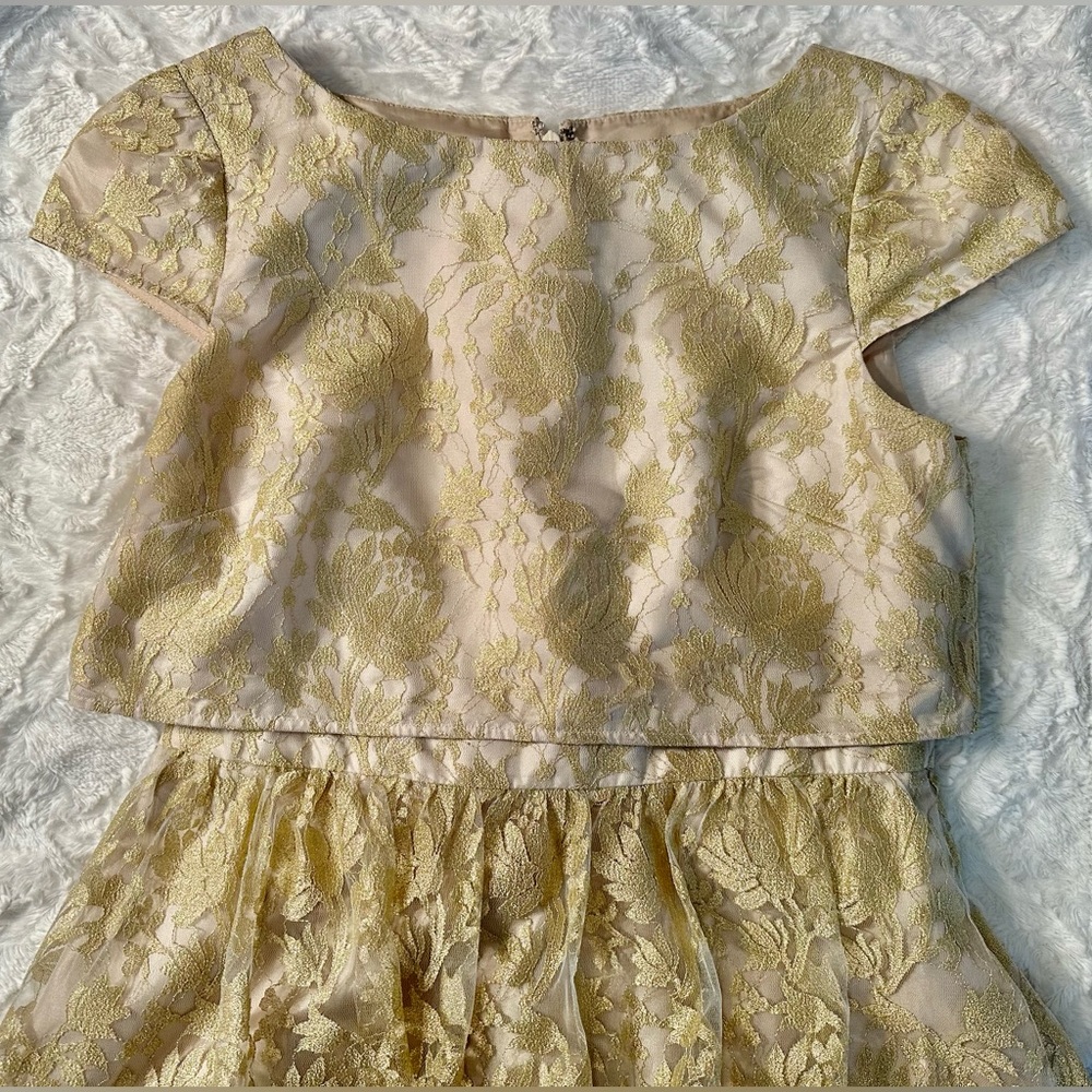 Adrianna Papell Gold Lace Floor Length Dress